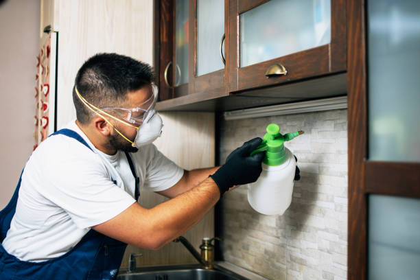 Best Residential Pest Control  in Woodside, CA