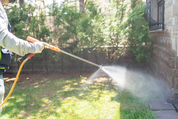 Best Local Pest Control Services  in Woodside, CA