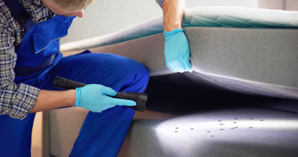 Best Wasp Removal Services  in Woodside, CA