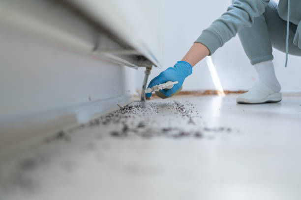 Best Pest Removal Services  in Woodside, CA